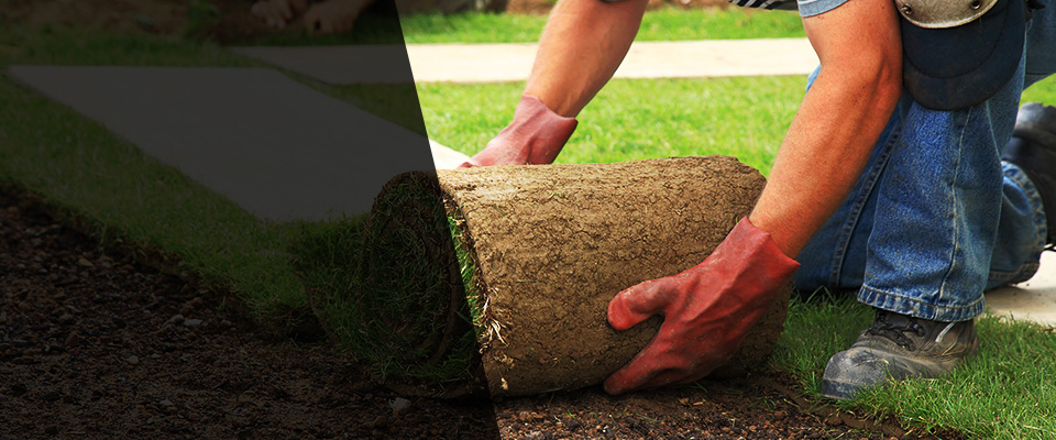 Schwenksville Landscapers